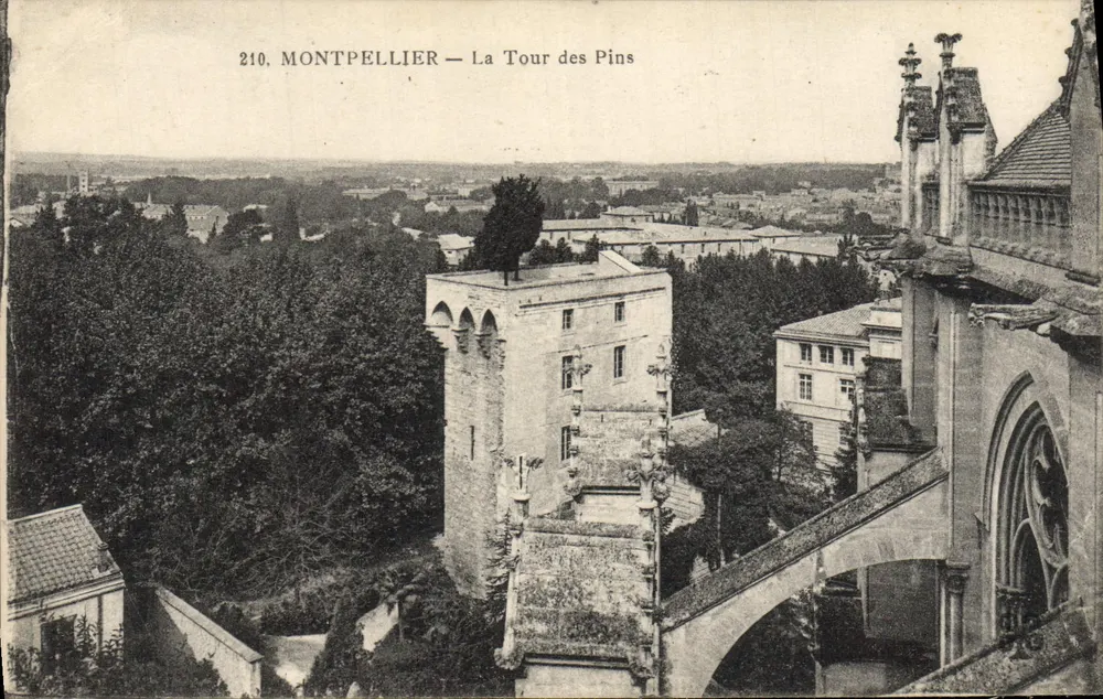 Montpellier — La Tour des Pins — M.T., imp. - Limoges - Anverso