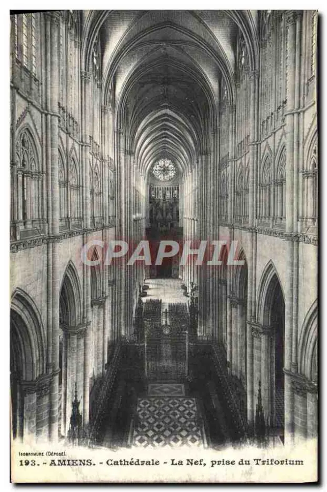 Amiens - Kathedrale - Die Nave, Blick vom Triforium - Vorderseite
