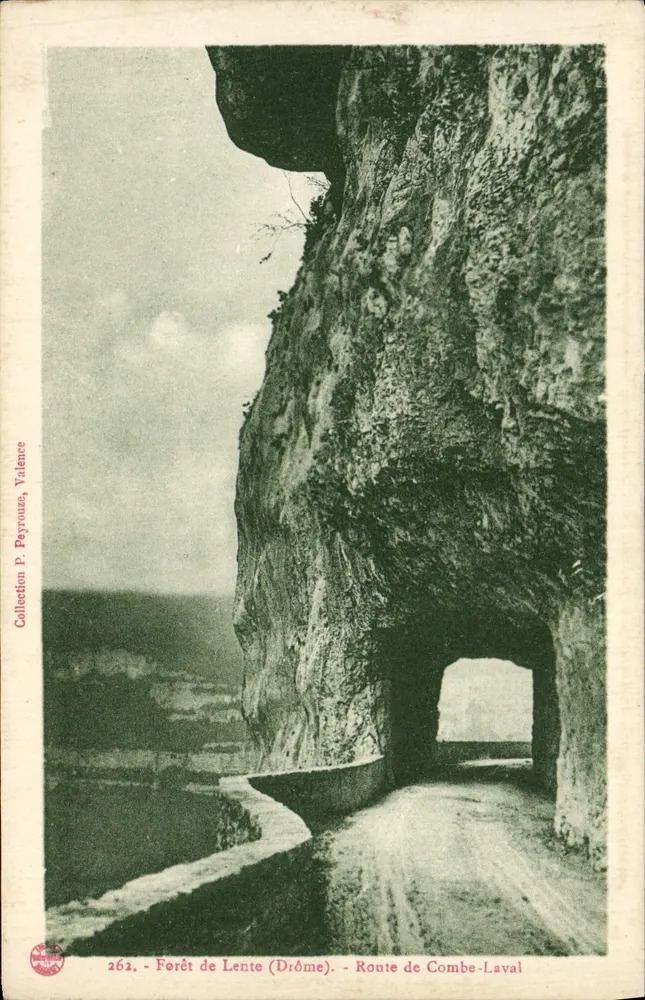 Floresta de Lente (Drôme) — Estrada de Combe-Laval — Coleção P. Peyrouz, Valence, n° 262 - Frente