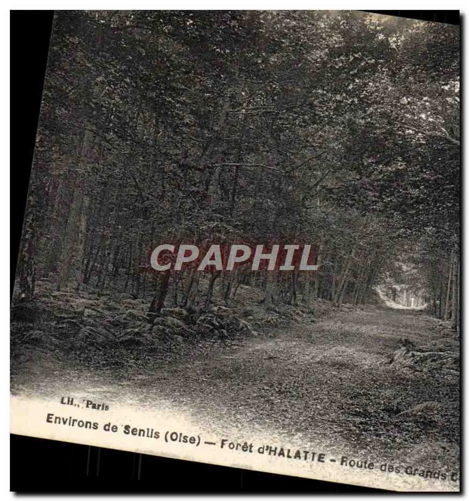 Arredores de Senlis (Oise) — Floresta de HALATIE — Rota dos Grands C - Frente