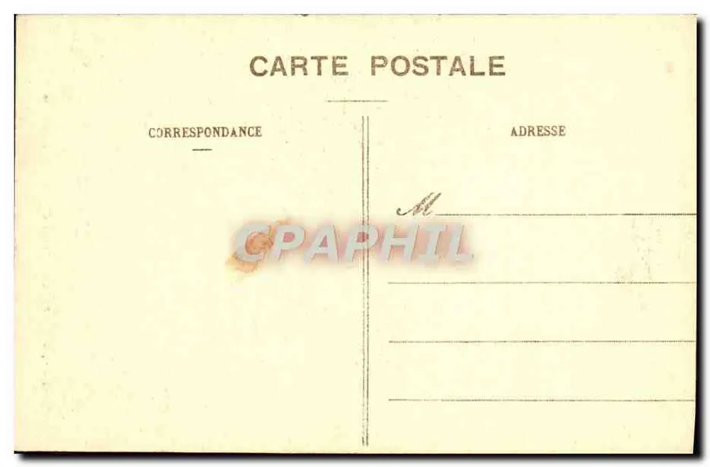 Floresta nebulosa — caminho sob as árvores — Carta postal anônima - Verso