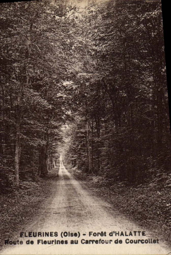 Fleurines (Oise) - Forêt d'Halatte - Straße von Fleurines zum Kreuzungspunkt Courcollet - Vorderseite