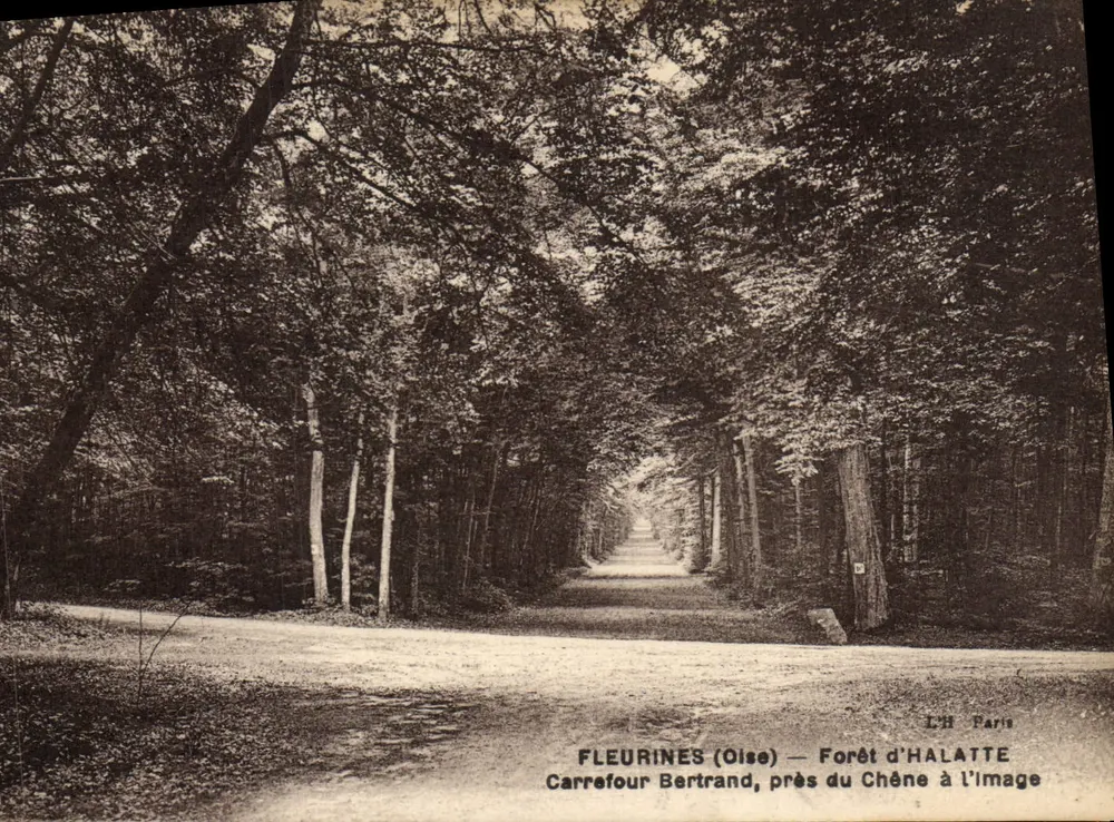 Fleurines (Oise) — Carrefour Bertrand, près du Chêne à l’Image — L'H Paris - Vorderseite