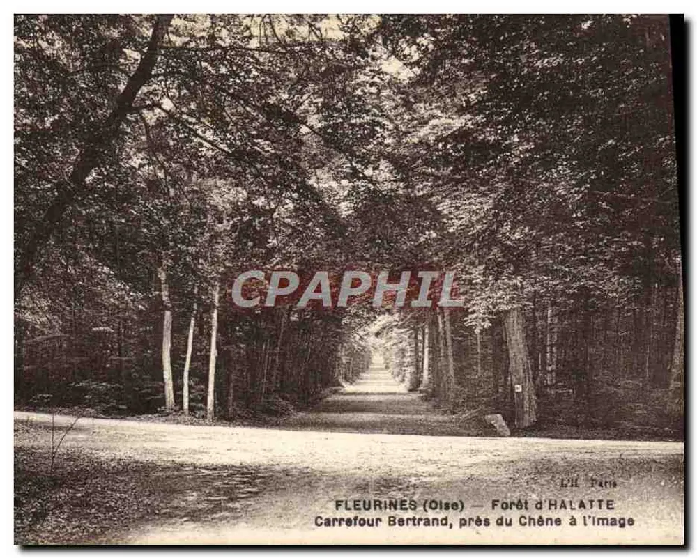 FLEURINES (Oise) — Wald von HALATTE — Carrefour Bertrand, nahe dem Baum in der Abbildung - Vorderseite