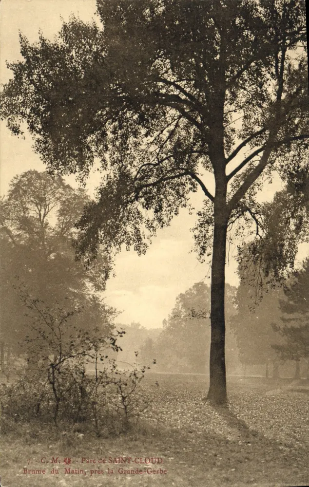 Brume du Matin — Parc de Saint-Cloud près la Grande-Gerbe — éditeur C. M. n°7 - Frente