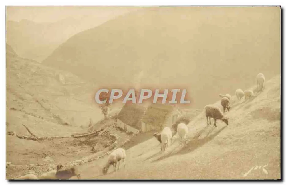 Gavarnie (Hautes-Pyrénées) — Bergweiden — Verlag Jove, Pau und Limoges, Frankreich, N° 6 - Vorderseite