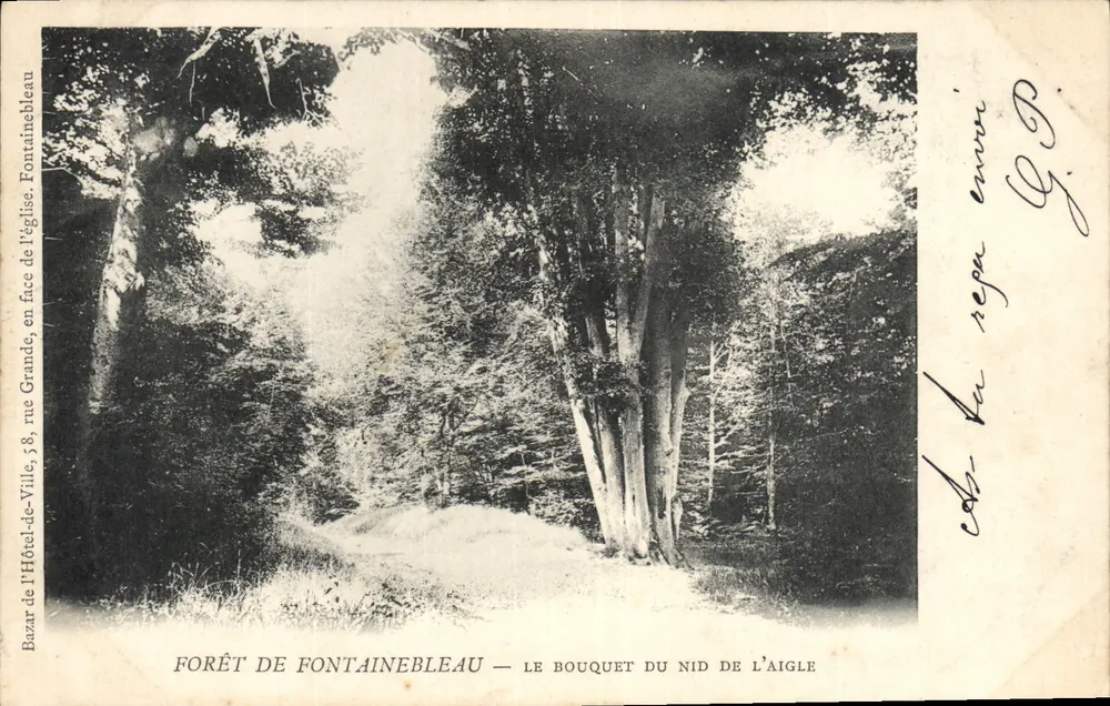 Wald von Fontainebleau — Das Nest des Adlers — Bazar de l'Hôtel-de-Ville, Fontainebleau - Vorderseite