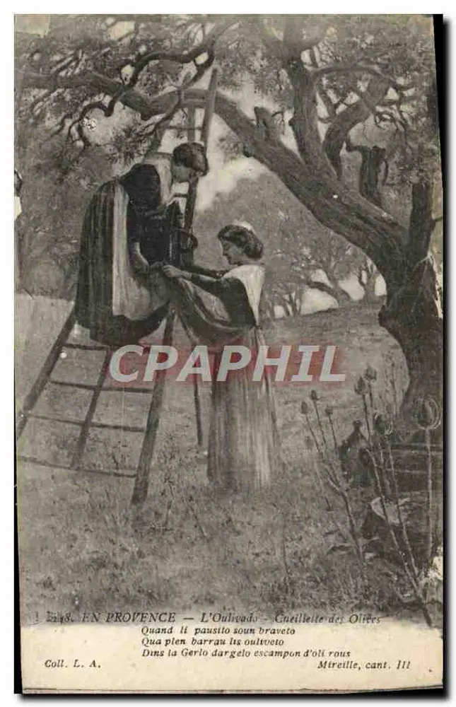 In der Provence — L'Ouligado — Querille des Oliven — Coll. L. A. - Vorderseite