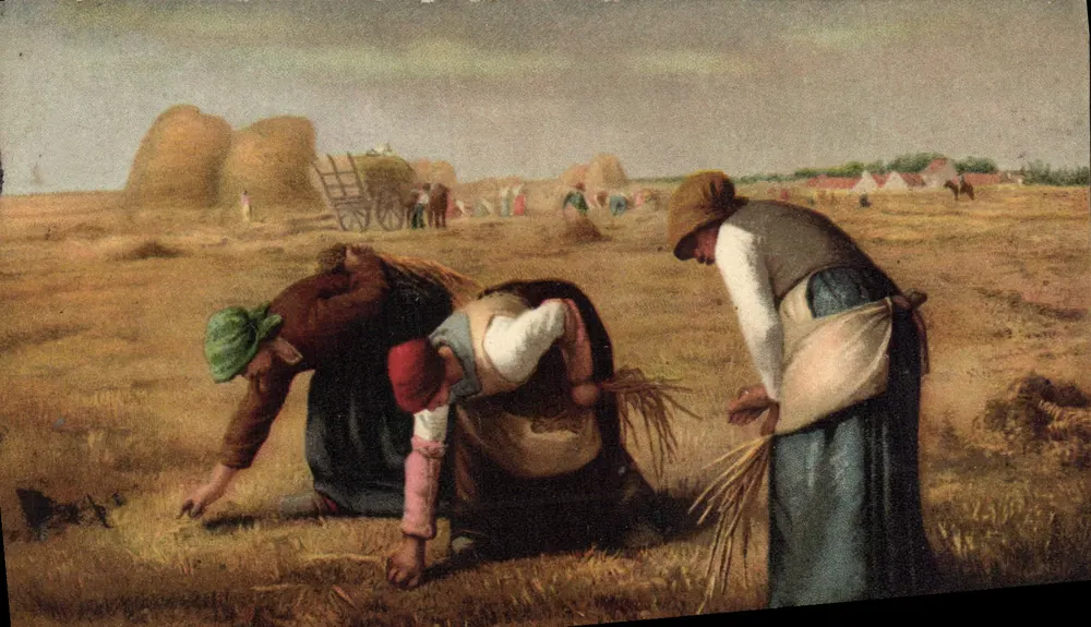Colheita de trigo — Cena de campo — Editor F. M. Colomé, n° 2421 - Frente