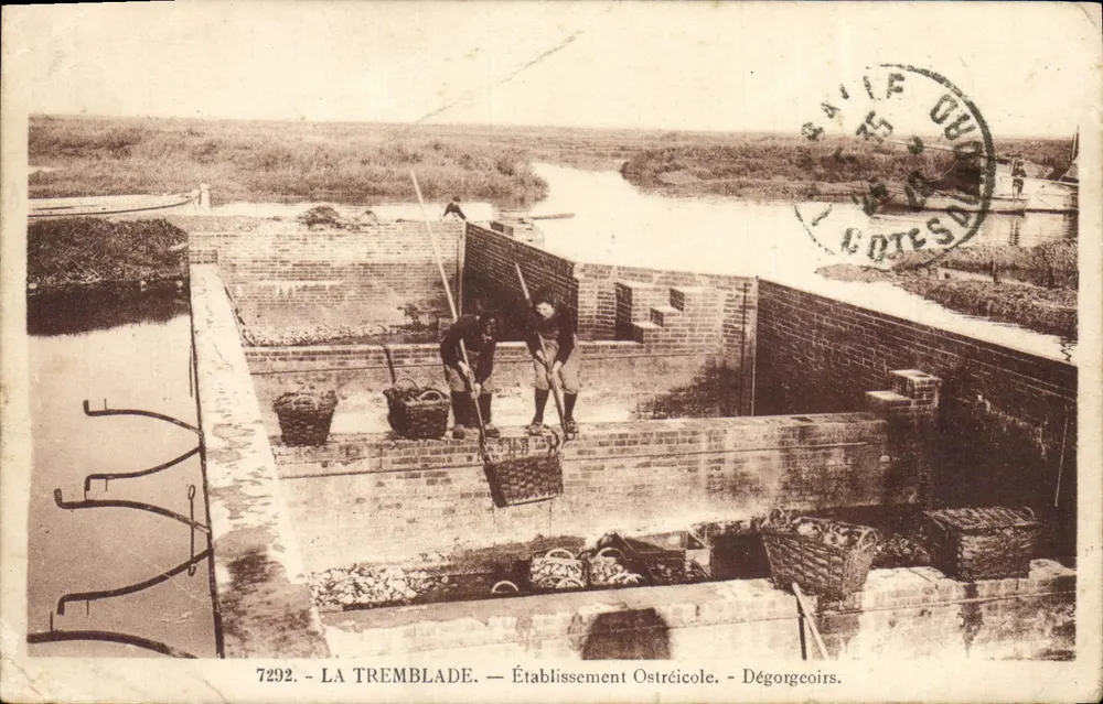 La Tremblade — Établissement Ostréicole — Dégorgeoirs - Recto