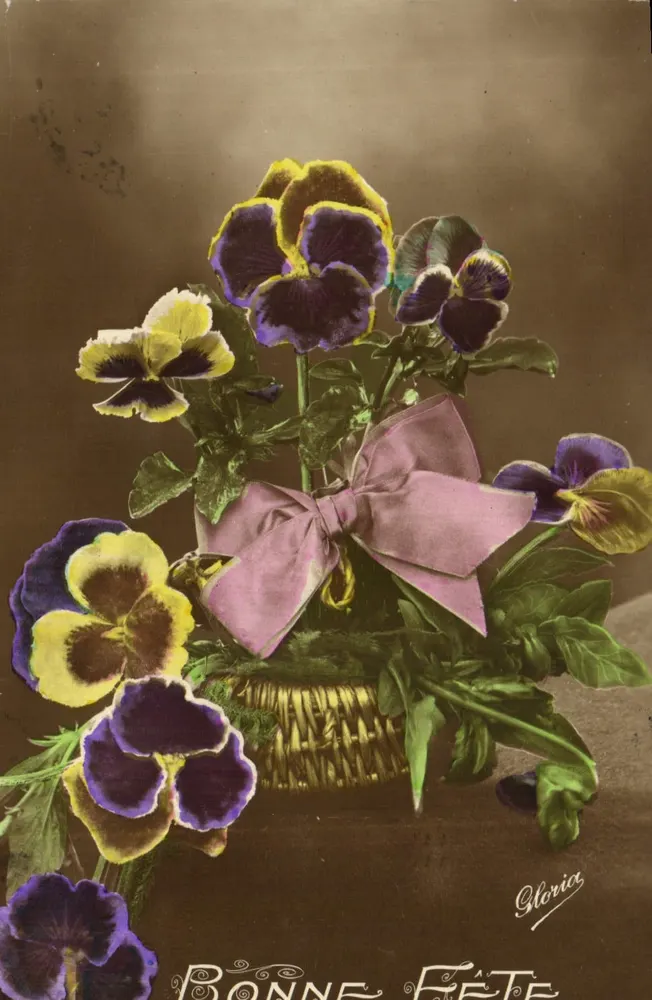 Bouquet de pensées — Gloria — éditeur Gloria, n° de série non visible - Frente