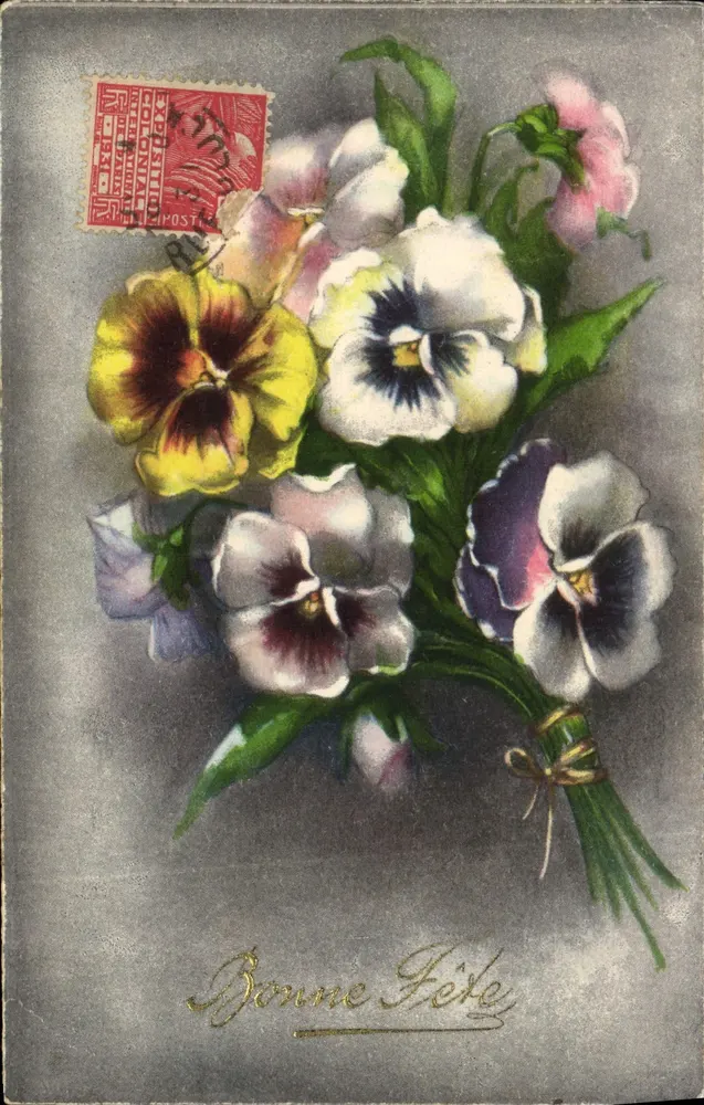 Büschel von Gänseblümchen — Frohe Geburtstagskarte — unbekannter Verlag, Seriennummer nicht sichtbar - Vorderseite