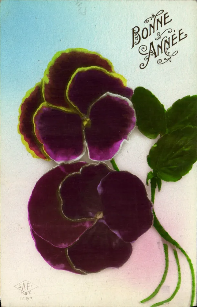 Violette Päonien — Frohe Neujahr — SAPi Paris Nr. 1463 - Vorderseite