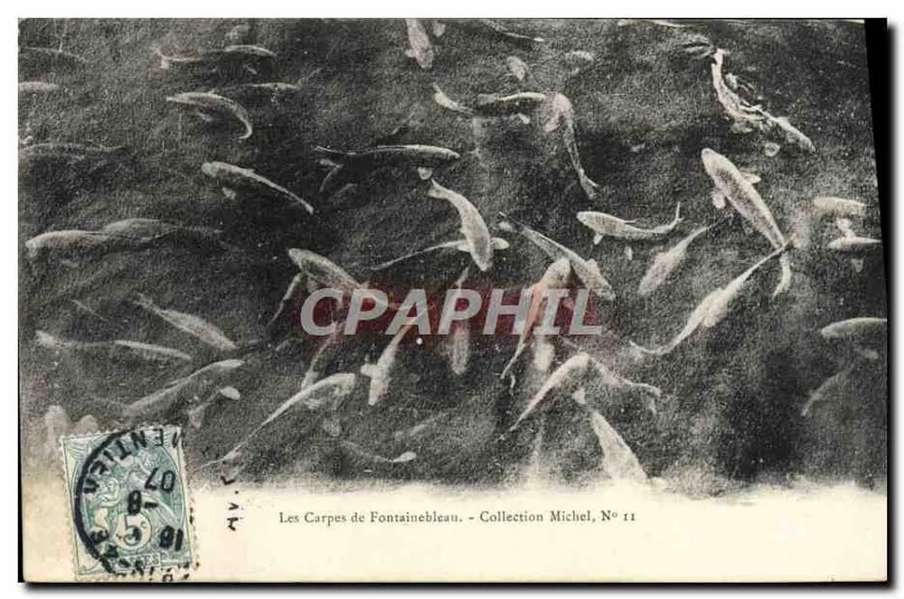 Die Karpfen von Fontainebleau — Sammlung Michel, N° 11 - Vorderseite