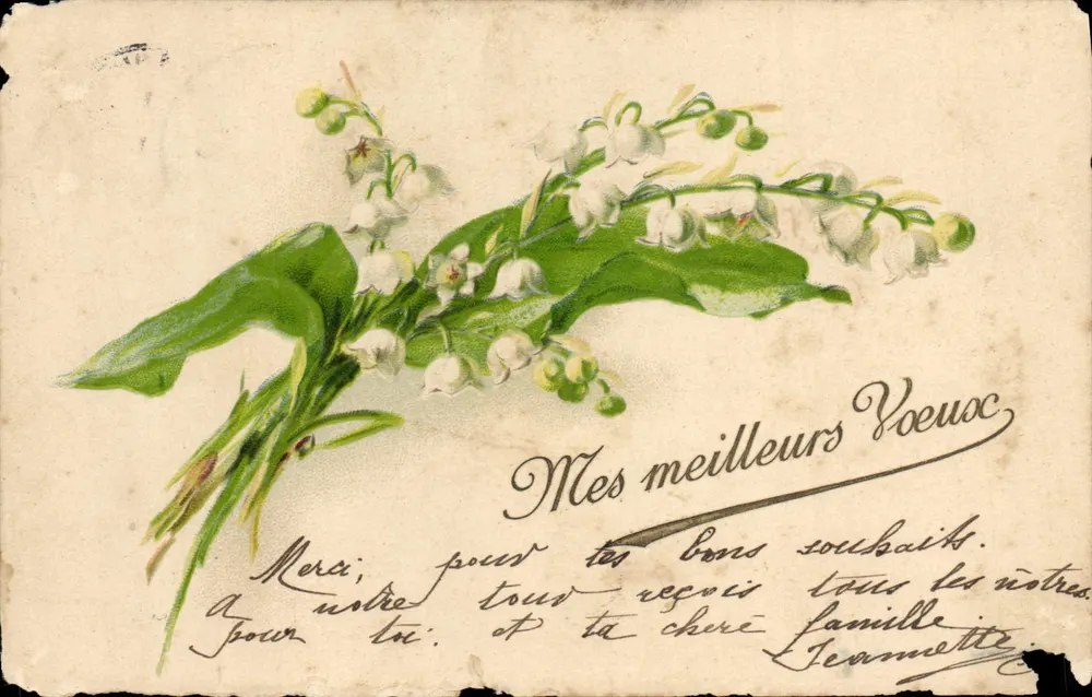 Lilie der Wiese — Ansichtskarte mit handschriftlichem Text — Verlag unbekannt - Vorderseite