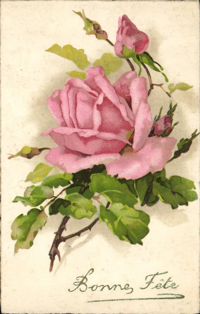 Rose rose — Frohe Geburtstagskarte — Celleraro No. 62 - Vorderseite