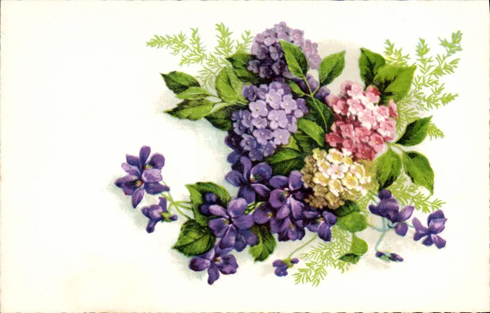 Bloemenvoorstelling — hortensia's en viooltjes — n°314-1 - Voorkant