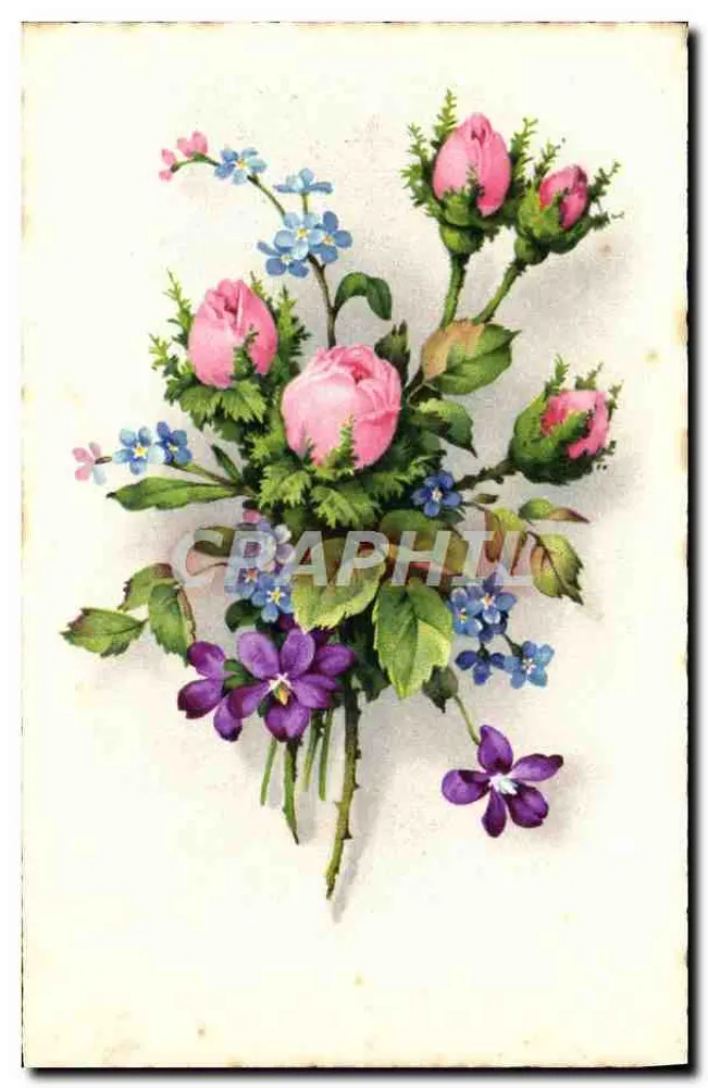 Arranjo de rosas e flores — ilustração botânica — 307-1 - Frente