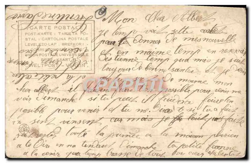 Couple amoureux sous cerisiers en fleurs — éditeur 'Union Postale Universelle' et n° 510 - Rückseite