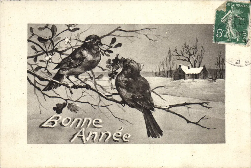 Zwei Vögel auf einem Zweig — Winterlandschaft — Verlag nicht sichtbar - Vorderseite