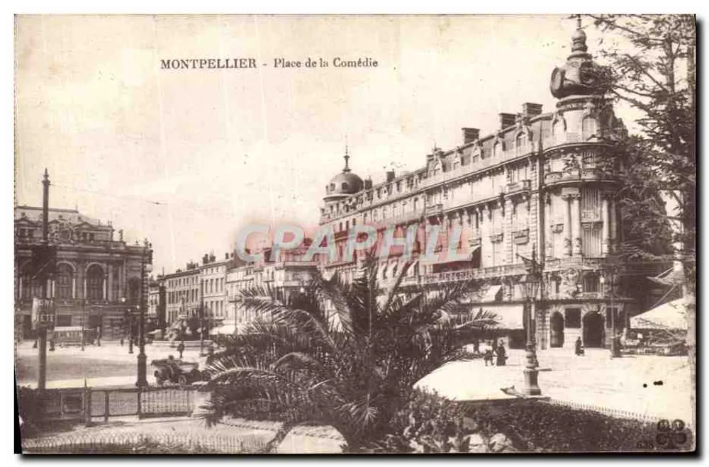 Montpellier - Praça da Comédia — vista arquitetônica com palmeira em primeiro plano - Frente