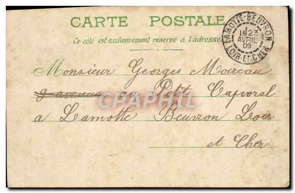 Bouquet de pensées et de muguet — dans un cornet décoratif — éditeur non visible - Verso