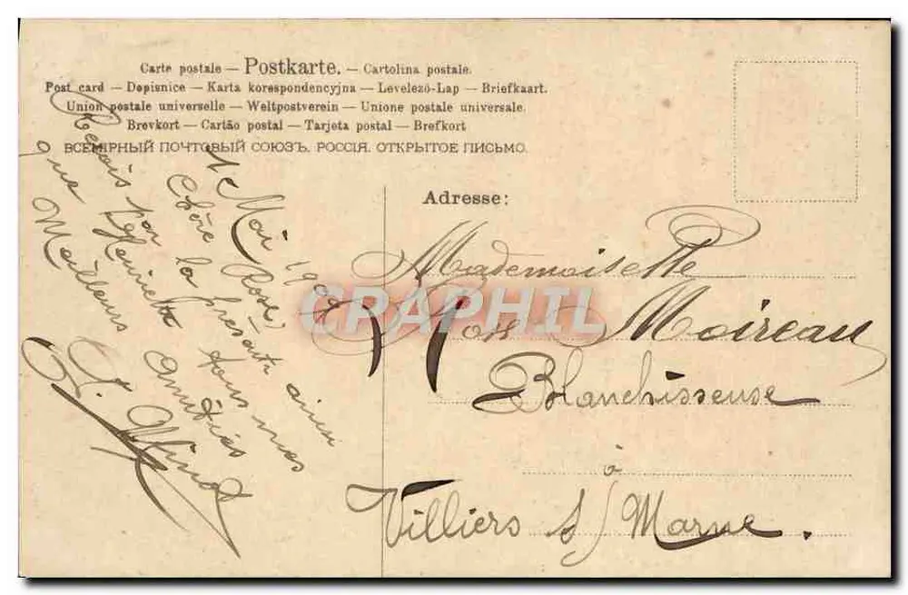 Zwei Tauben — mit Lilienkorb — A.&M. N° 559 - Rückseite