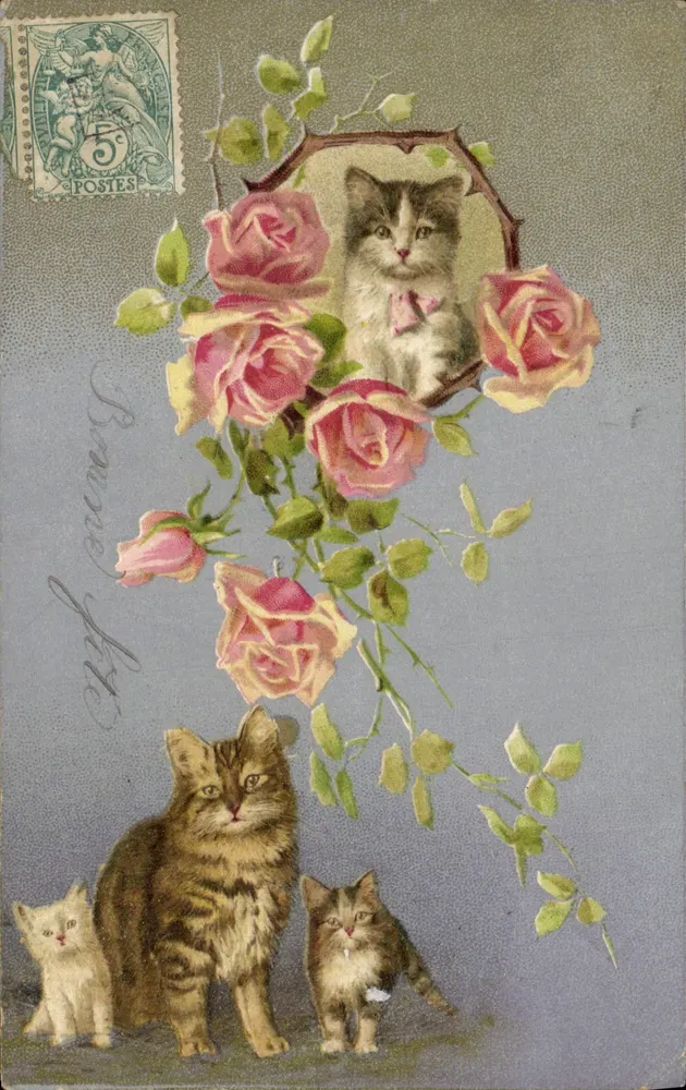 Chats et roses — scène avec chat adulte et deux chatons — éditeur non visible, timbre 5 centimes - Voorkant
