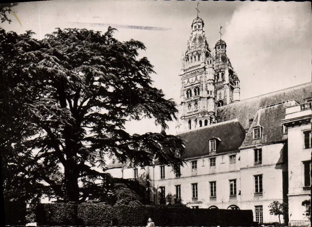 Tours - Der hundertjährige Zeder des Museums und die Türme der Kathedrale — Authentic Photography, Verlag (511) - Vorderseite