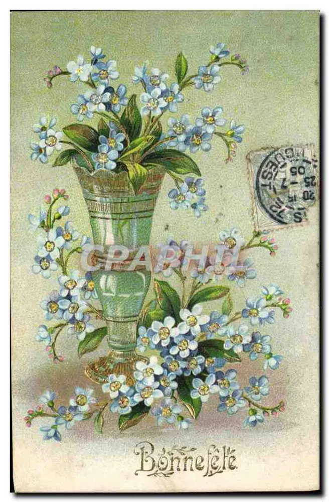 Vergissmeinnicht in einer Vase — Postkarte mit gedrucktem Text und handschriftlicher Schrift - Vorderseite