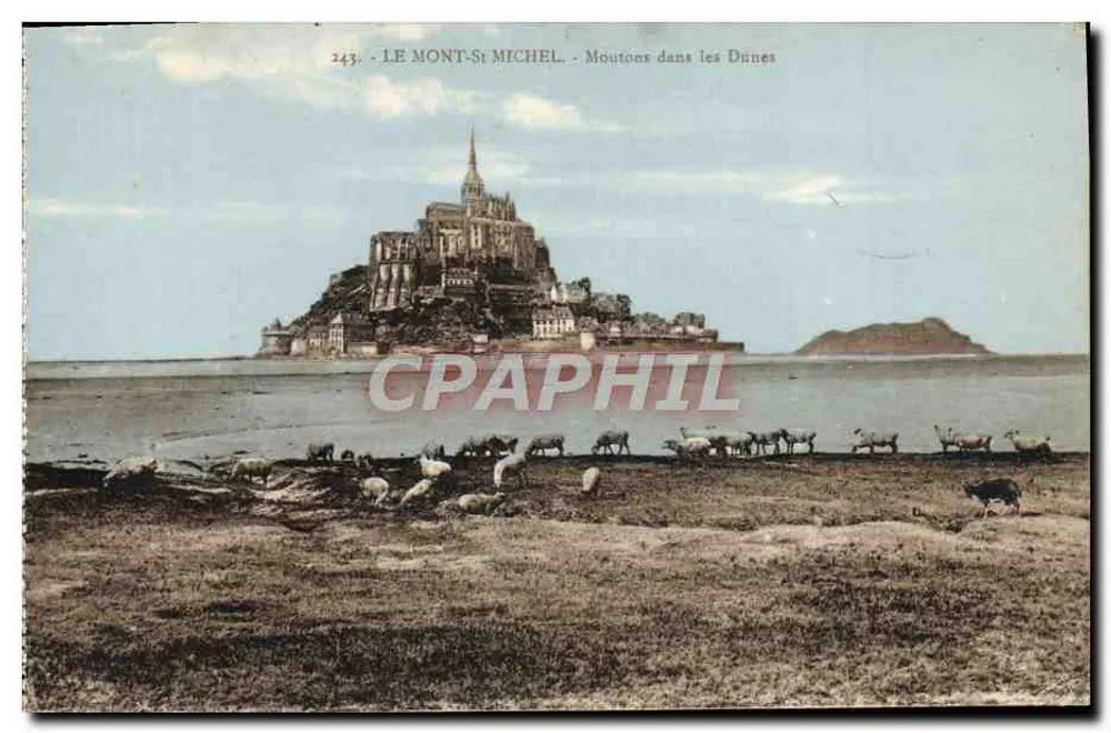 O Mont-Saint-Michel - Ovelhas nas Dunas — n°243, editor Laurent Nel, Rennes - Frente