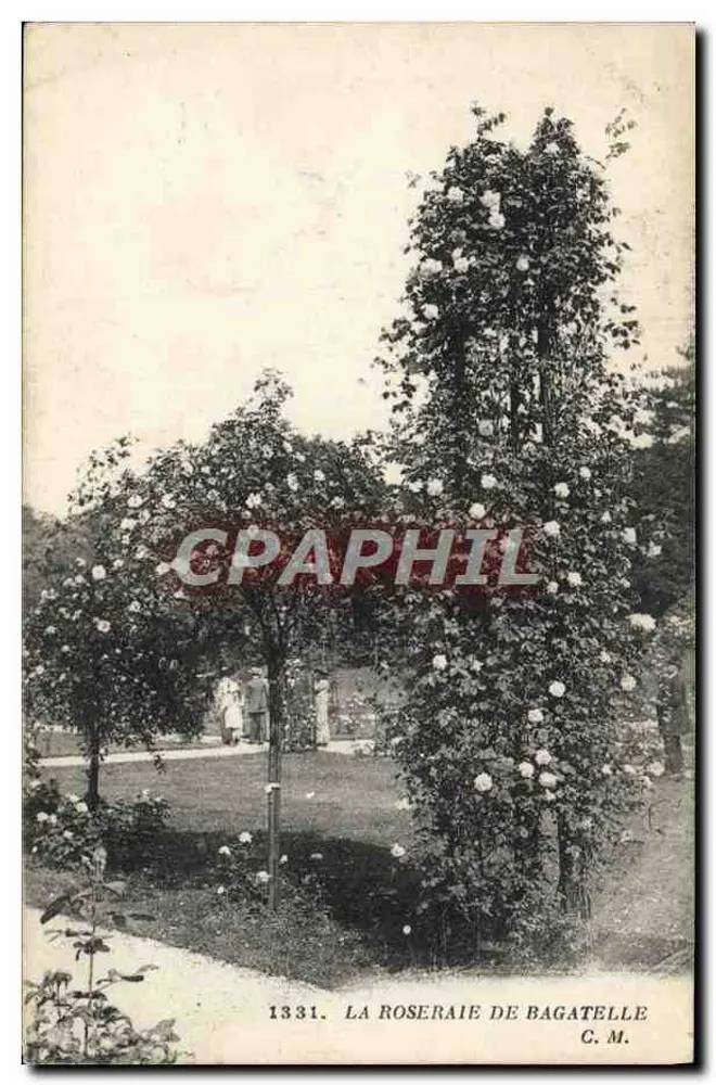 A Roseraie de Bagatelle — vista de rosas em flor — C. M. n° 1331 - Frente