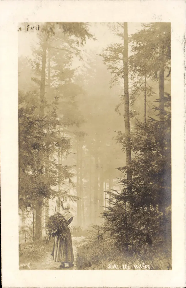 Mulher na floresta — névoa matinal — J.A. Les Vaches, n°9 - Frente