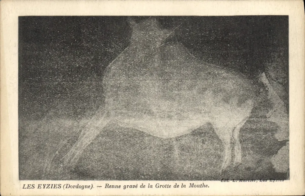 LES EYZIES (Dordogne) — Ansicht des in der Grotte der Mouthe gemeißelten Rentiers — Verlag: E. Mercier, Les Eyzies - Vorderseite