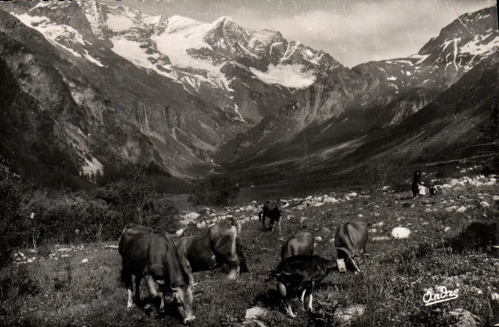 Alpine Weiden — Édition d'Art Grenoble, n°61 - Vorderseite
