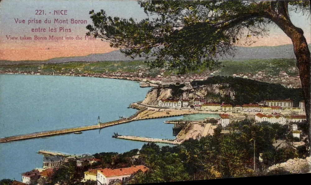 Nice - Ansicht von Mont Boron zwischen den Kiefern — Édition Gilettà, Phot., Nice, n°221 - Vorderseite