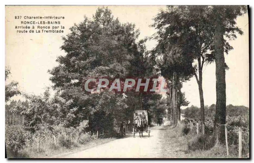 Ronce-les-Bains — Ankunft in Ronce über die Straße von La Tremblade — F. Braun, Royan (Charente-Inférieure) - Vorderseite