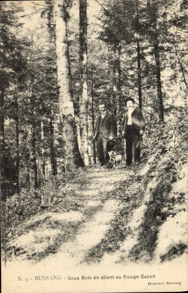 Bussang - Unter den Bäumen auf dem Weg zum Rouge Gazon — Humbert, Bussang, N. 9 - Vorderseite