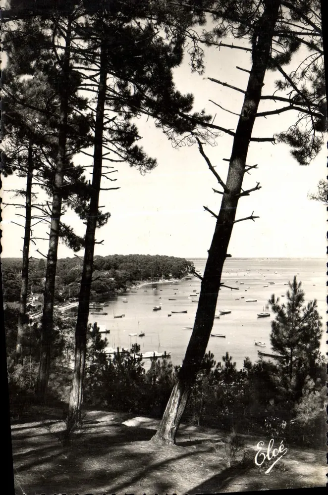 Bassin d'Arcachon — Blick über den Bassin durch die Kiefern — Verlag Elcée - Vorderseite