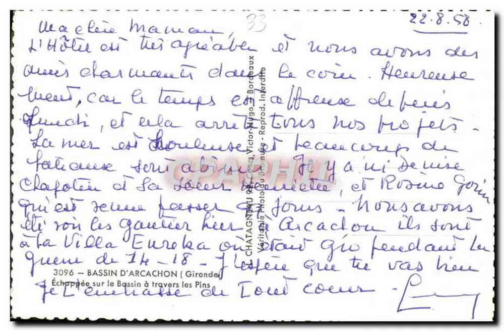 Bassin d'Arcachon — Blick über den Bassin durch die Kiefern — Verlag Elcée - Rückseite