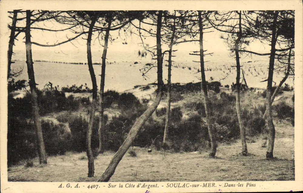 Soulac-sur-Mer — Entre os Pinheiros — A.G.A. 4407 - Frente