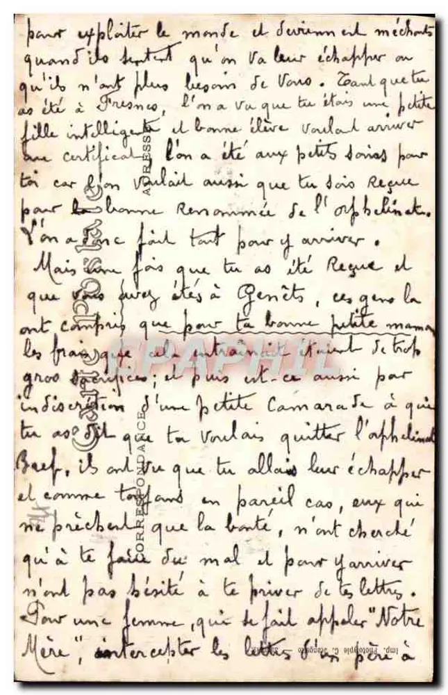 Montpellier — Jardin des Plantes — L.B. 48 - Verso