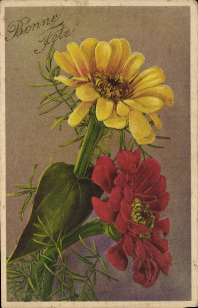 Blüten — gelbe und rote Zinnien — n°78 - Vorderseite