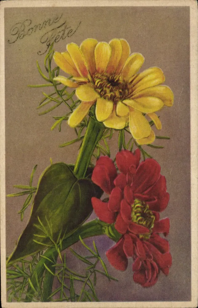 Flores de zinnias — Boa Festa — Impressora Élite, n° 6113 - Frente