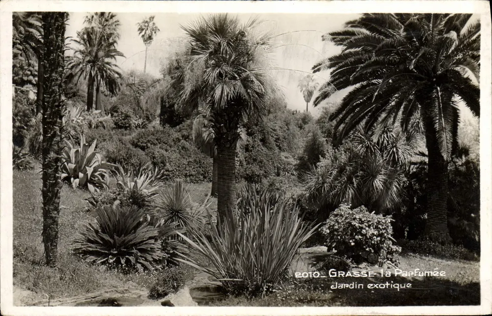 Grasse - Jardim exótico La Parfumée — Edição La Cigogne, Nice - Frente