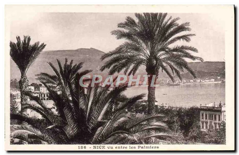 NICE visto entre os Palmiers — série 186 — J. Gilletta e Cie, Nice - Frente