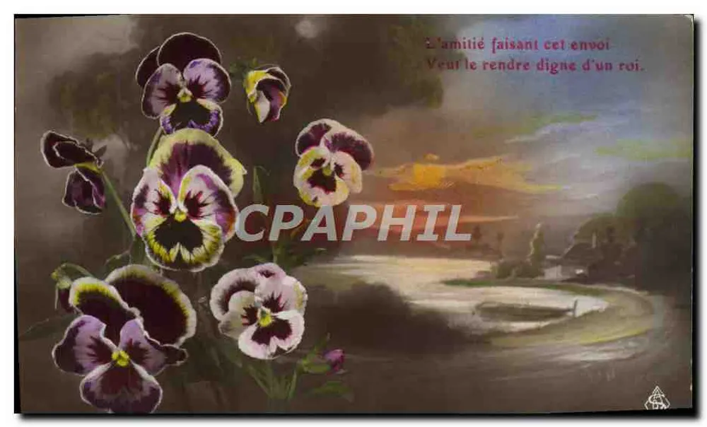 Pansies — A amizade que fez este envio quer torná-lo digno de um rei — editor desconhecido - Frente