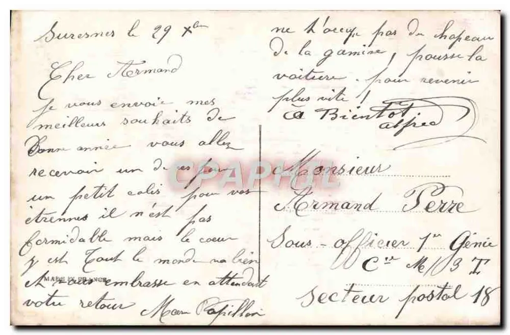 Junge Frau mit Blumenstrauß — Frohe Neujahr — unbekannter Verlag, n° 4563 - Rückseite