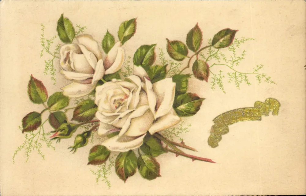 Blumenstrauß weißer Rosen — Verlag M.D. Paris, Serie 3050 - Vorderseite