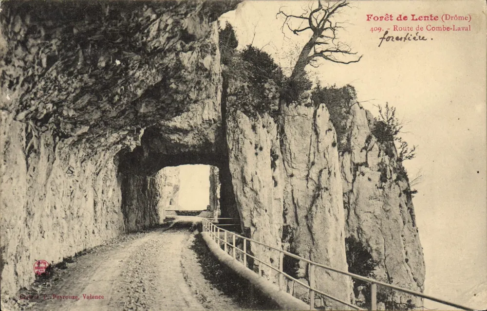 Floresta de Lente (Drôme) — Estrada de Combe-Laval — editor F. Peyrouzg, Valência, n° 409 - Frente